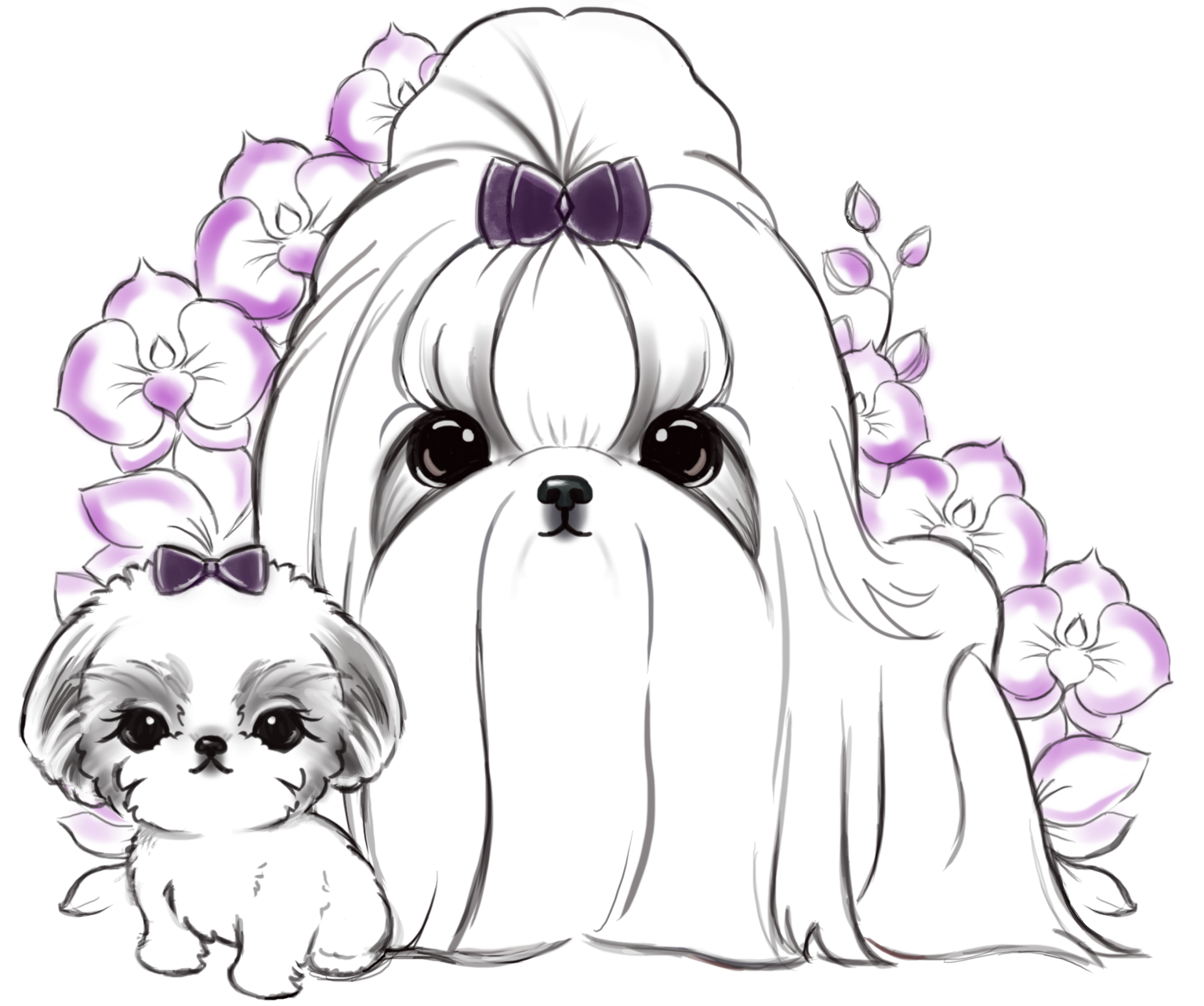 BethAsh Shih Tzu